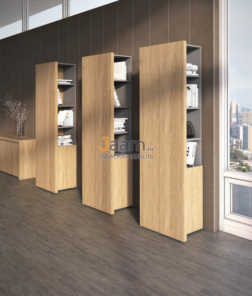 Кабинет руководителя Era