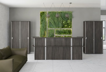 Стойка ресепшн Васанта